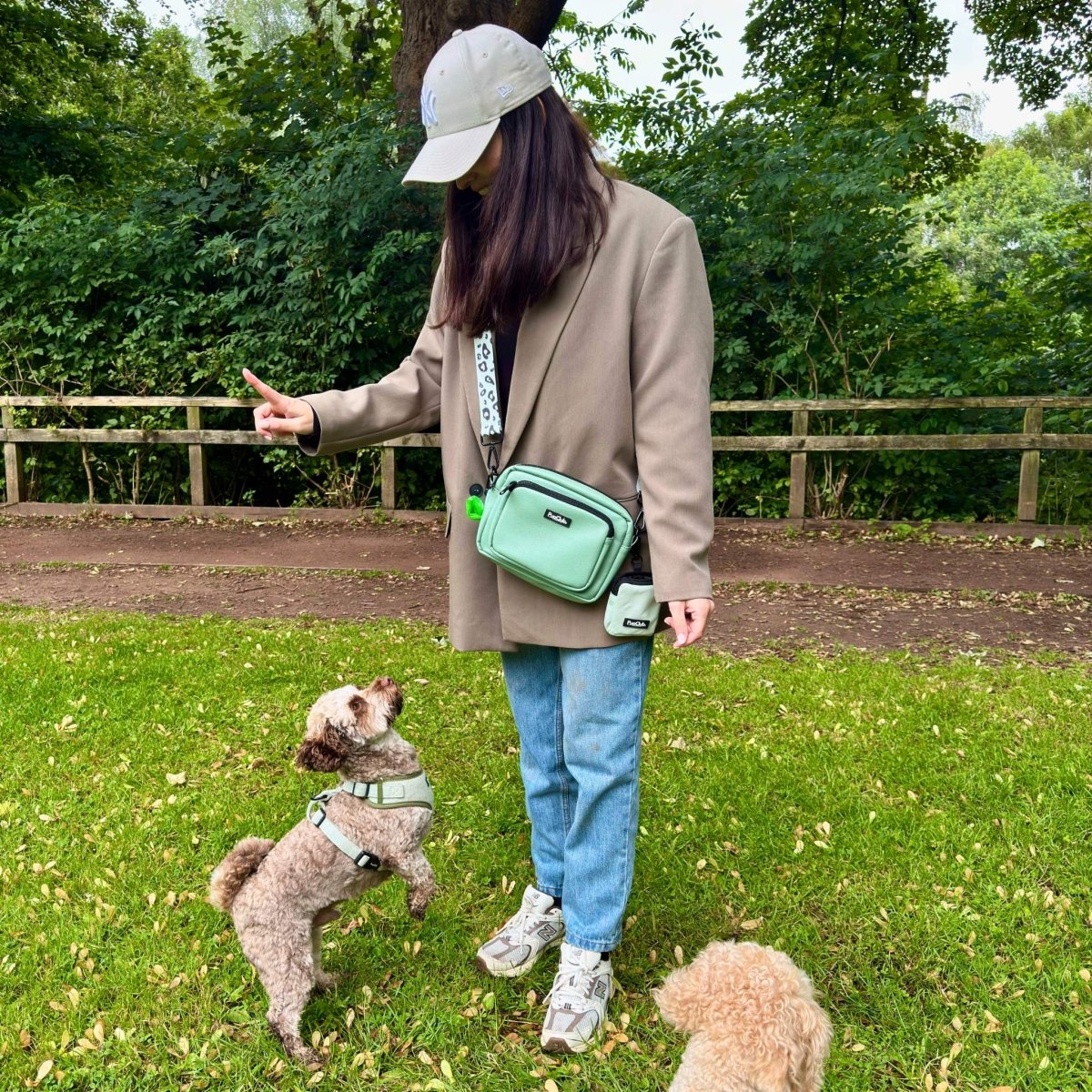 Sage green vegan leather dog walking crossbody bag