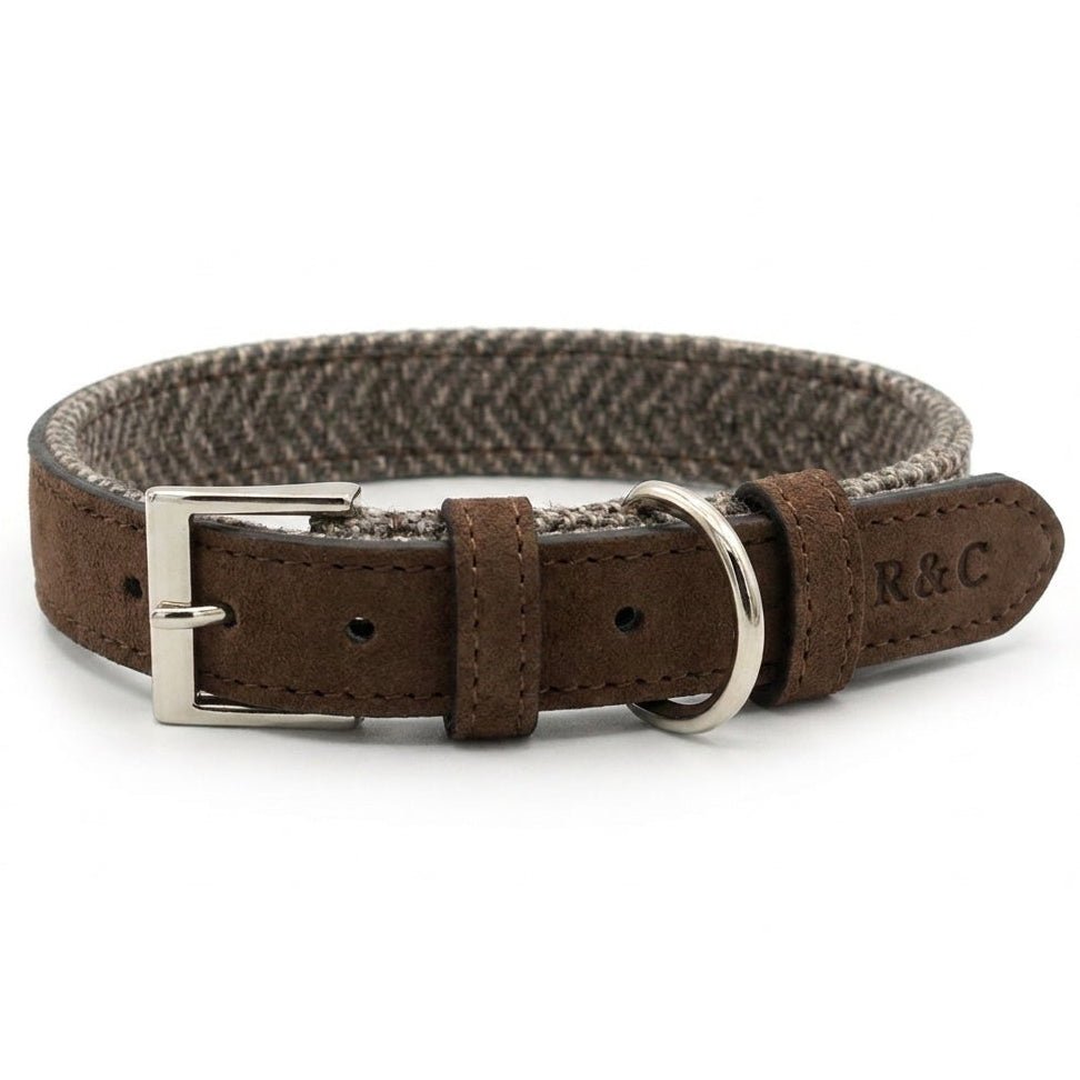 Lincoln tweed and leather dog collar