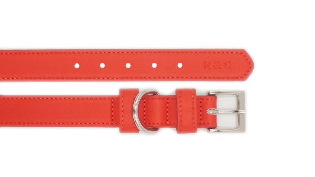 Red Lignify Dog Collar