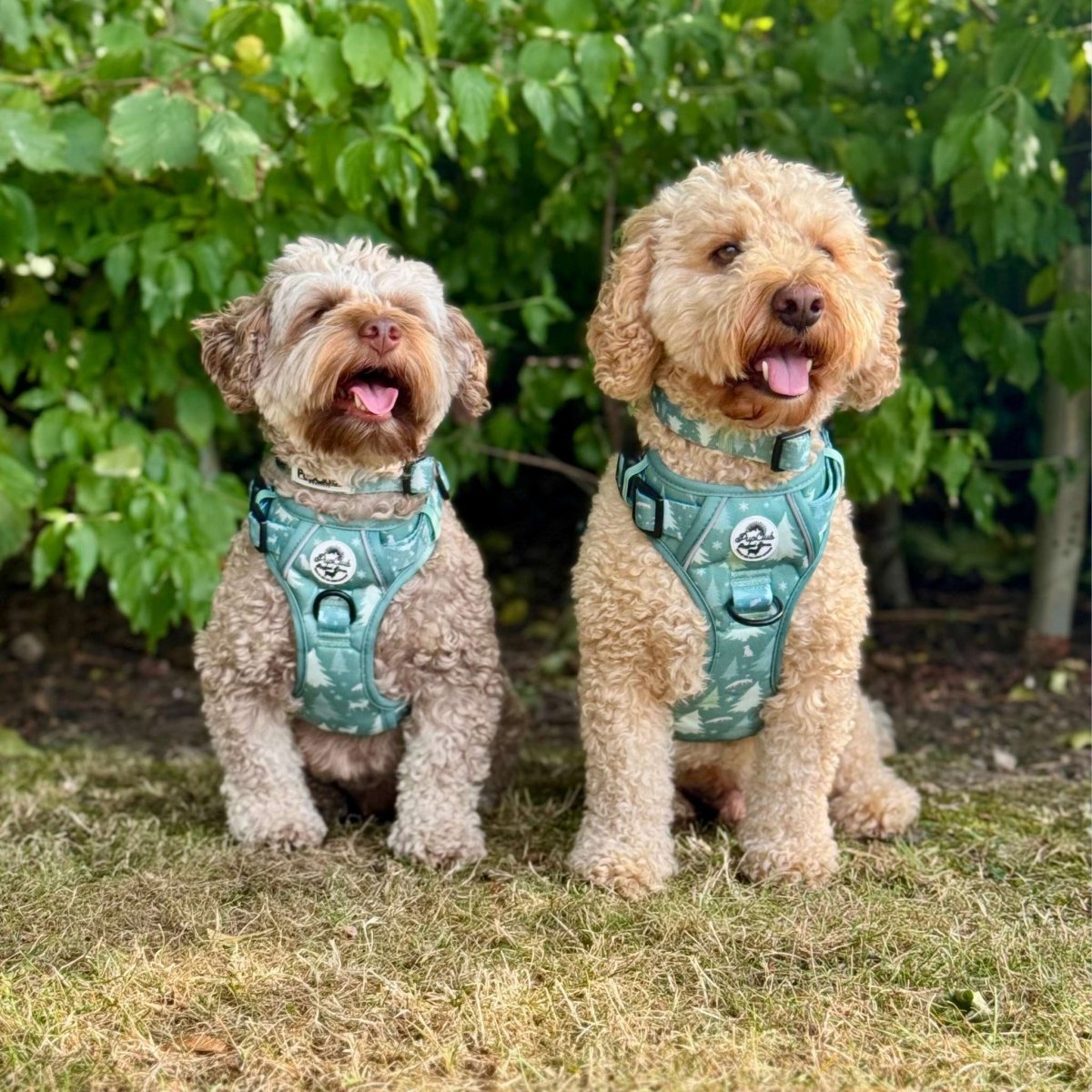Rugged Rover™ Harness - Evergreen Trails