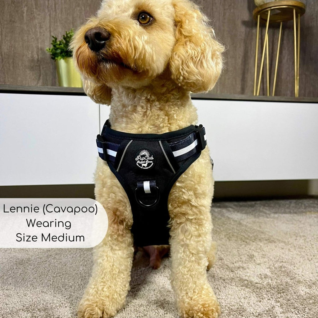 Rugged Rover no-pull dog harness in Midnight Black